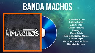 Lo mejor del álbum completo de Banda Machos 2024 ~ Mejores artistas para escuchar 2024