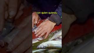 Entra cuchillo, salen las tripas. pesca de pejerrey u filetear