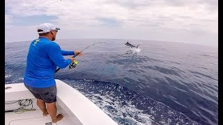 Tá-Lah, Blue Marlin 30lb Cabo Ledo