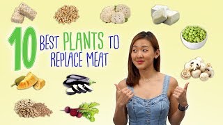 10 Best PLANTS to Replace Meat (Vegan) | Joanna Soh