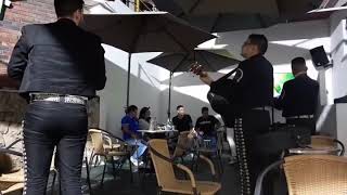 SERENATA A UN PRECIO JUSTO 3186684459 MARIACHIS EN BUCARAMANGA ACTUALIZADO 2020 MARIACHI JUVENIL(3)