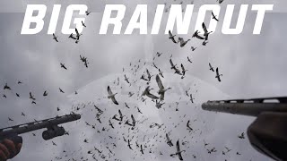 Thousands of SNOW GEESE Decoying! (15 Yard Shots)