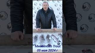 05 мая 2024 г Уловы наших рыбаков