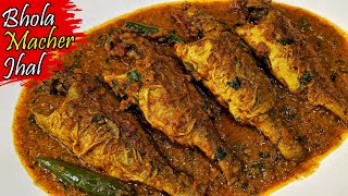 Bhola Macher Jhal | ভোলা মাছের ঝাল রেসিপি | Bhola Macher Recipe | Vola Macher Jhal | Fish Curry