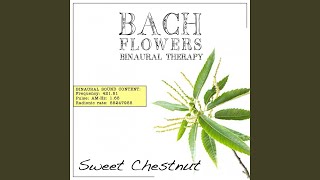 Sweet Chestnut EFT Dose Therapy (Binaural Real Frequency from Bach Flowers)