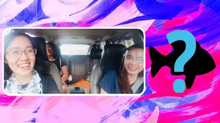 Betta Fish + Roadtrip - Cavite Area