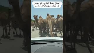 صلاله ولاية طاقة الجزء 2 من عين حمران ال شلالات أثوم من أجمل المناظر road to Taqa