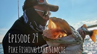 Episode 29 - Pike fishing Lake Simcoe