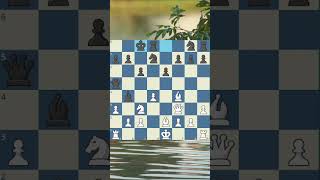 "there is nothing we can do" - your opponent after watching this #shorts #chess #chessdog