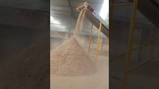 Hammer mill wood crusher machine