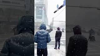 First snowfall in South Korea 🇰🇷 #shorts #shortsvideo #korea#southkorea#seoul #shortvideo #travel