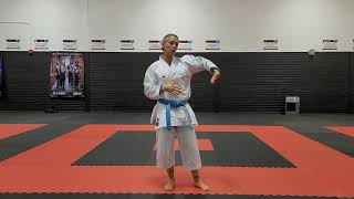 Ushiro Geri Kekomi