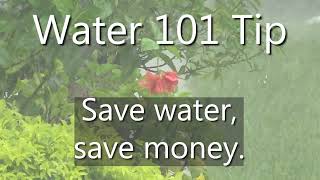 Water 101 Irrigation Controller