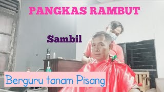 Berguru cara tanam pohon pisang sambil pangkas rambut#langit farm #langit #cara