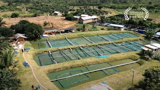 De Heus: Empowering farmers towards sustainable aquaculture through high-quality nutrition