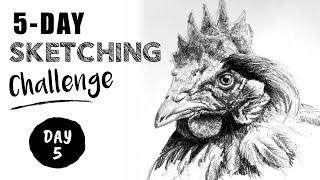 Pencil Sketching 5 DAY Challenge - Lesson 5