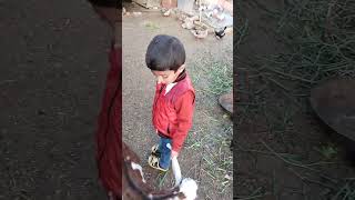 Child  play with Goat | billy #shorts #kids