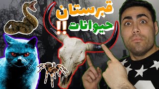 رفتم به قبرستان حیوانات خانگی👻😱