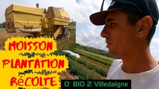 TRES grosse semaine! Moisson, plantation melons, récolte, a fond pour fin juin