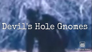 Devil's Hole Gnomes