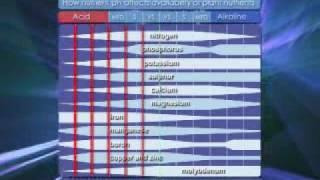 What Is EC & pH And Why They Are Important in Hydroponics