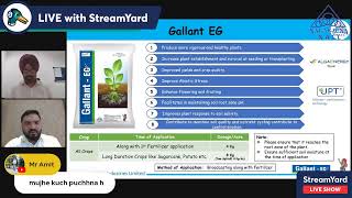 Paddy role of PGR's - Gallant