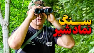 کشف خزانه پادشاه در طبیعت 👑نماد شیر