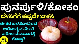 ಪುನರ್ಪುಳಿ/ಕೋಕಂ ಬೇಸಿಗೆಯಲ್ಲಿ ಬಳಸಿದ್ರೆ ಎಂತಾ ಜಾದೂ ಮಾಡತ್ತೆ ಗೊತ್ತಾ | Kokum Benefits for Health in Kannada