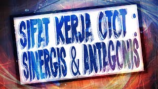 Sifat Kerja Otot : Sinergis dan Antagonis