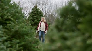 Picking out a Christmas Tree