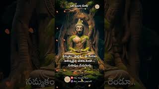 GautamBuddha Quotes in Telugu @OkaManchiMata-97 #shorts #ytshorts #trending #motivation #inspiration