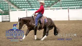 MM Auction Services - Diamonds in the Desert Premier Horse Sale