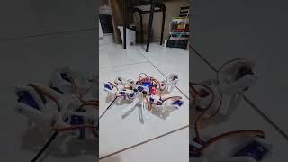 Projeto robô aranha 03