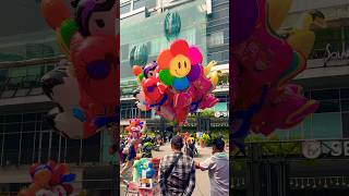 Meletus balon sunflower dor