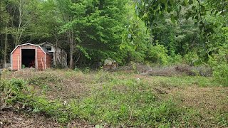 Así va quedando🌳la limpieza profunda del patio trasero🌳🏡de nuestro hogar🏡