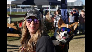 Watch the Corgi Cup Race | 2024 Maryland 5 Star