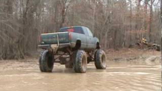 muddi gras gator run park 2010