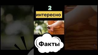 Факты Которые Встречаются у Всех Нас!