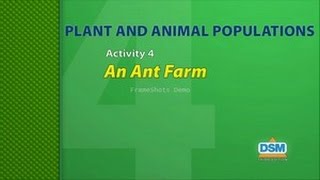 Plant and Animal Populations - Activity 4: An Ant Farm