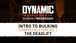 Dynamic Supplements: Workout Wednesday - Intro To Bulking 2 - The Deadlift