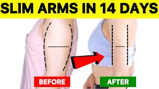 Slim Arms in 30 DAYs! Beginner Friendly Standing Workout  No Equipment