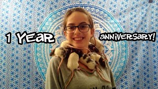 My 1 Year YouTube Anniversary!