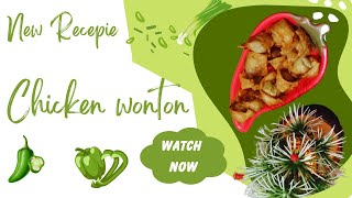 One Bite of Mini Chicken Wontons Make And Freeze  Recipes