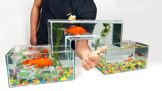 How to Make Unique Multi Level Glass Aquarium at Home