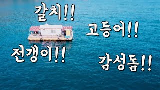 [다리tv] 전갱이 잡고!! 갈치 잡고!! 고등어 잡고!! 재미있게 쉬다가 오는 곳!!!