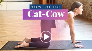 How To: Cat Cow