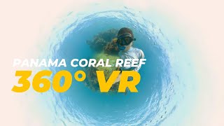 The Coral Reef in Panama VR 360 Experience 🌊