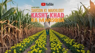 Ganne Mein Sarson Ki Makhloot Kasht Aur Khad Ka Mansooba|KisanLink