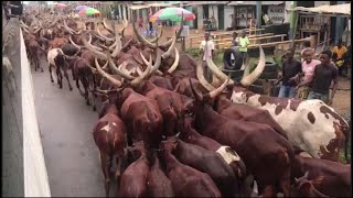 💥💥ABASIRIKARI B' UBURUNDI BARI KWIBA INKA MURI CONGO BAKAZAMBUTSA KUMANYWA Y'IHANGU💥