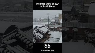 [4K] 2024 첫눈 The First Snow of 2024 in South Korea #shorts #첫눈 #firstsnow #winter #korea #snowdog